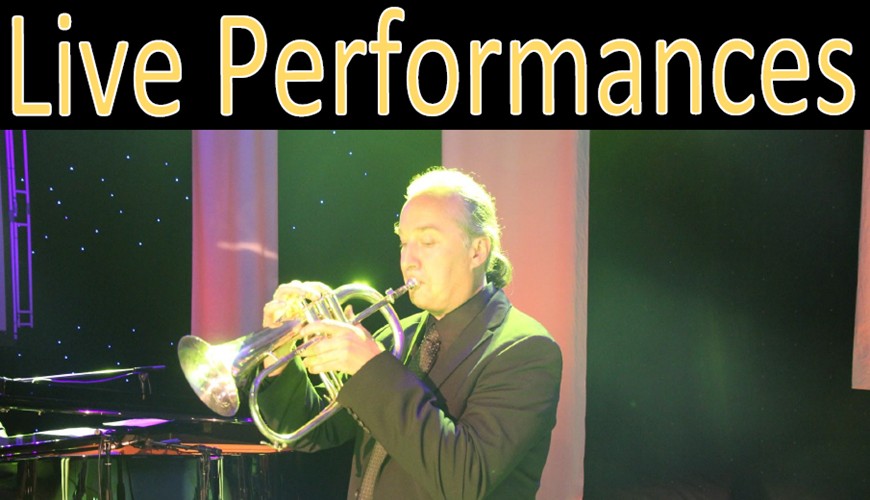 Rob Birdwell's live performances